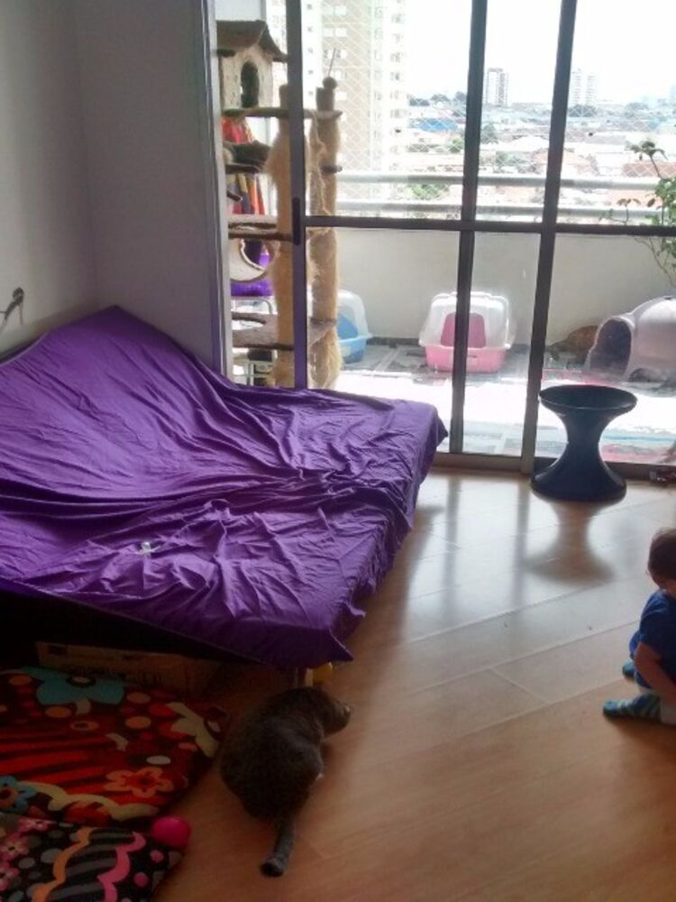 Apartamento, 2 quartos, 50 m² - Foto 1