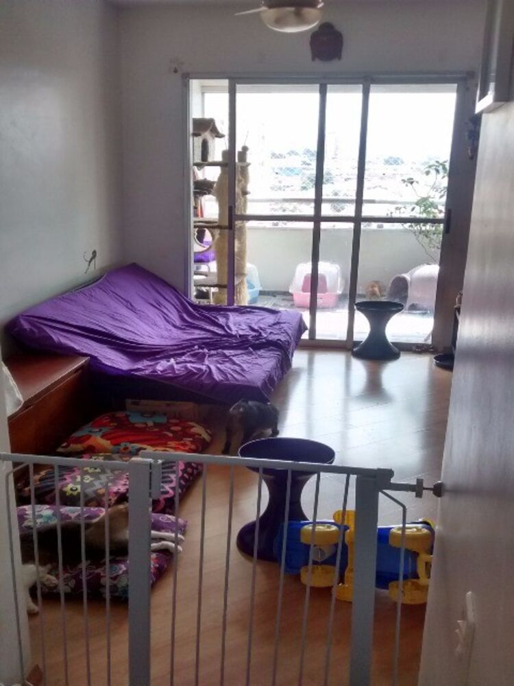 Apartamento, 2 quartos, 50 m² - Foto 2