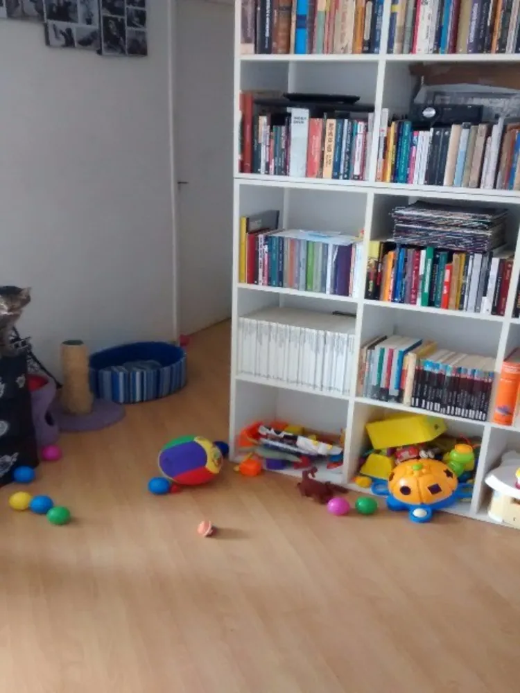 Apartamento, 2 quartos, 50 m² - Foto 7