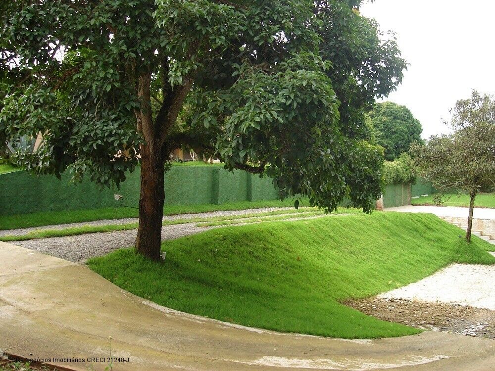 Chácara à venda com 6 quartos, 5565m² - Foto 4