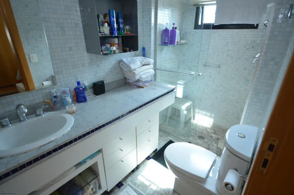 Apartamento, 4 quartos, 254 m² - Foto 8