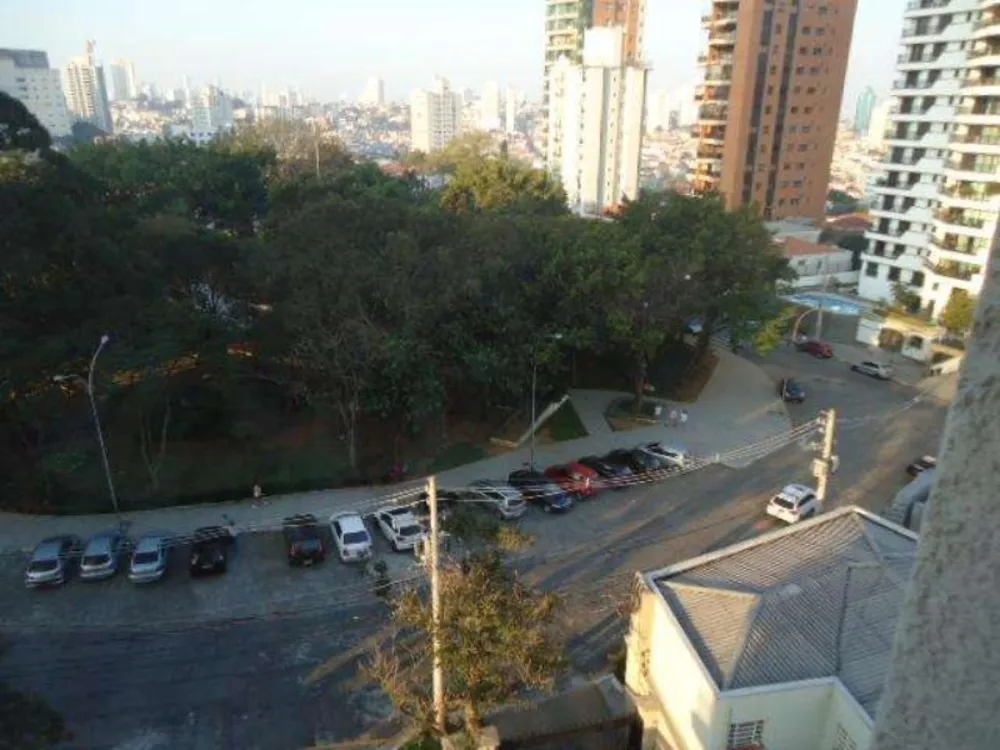Apartamento, 4 quartos, 250 m² - Foto 6