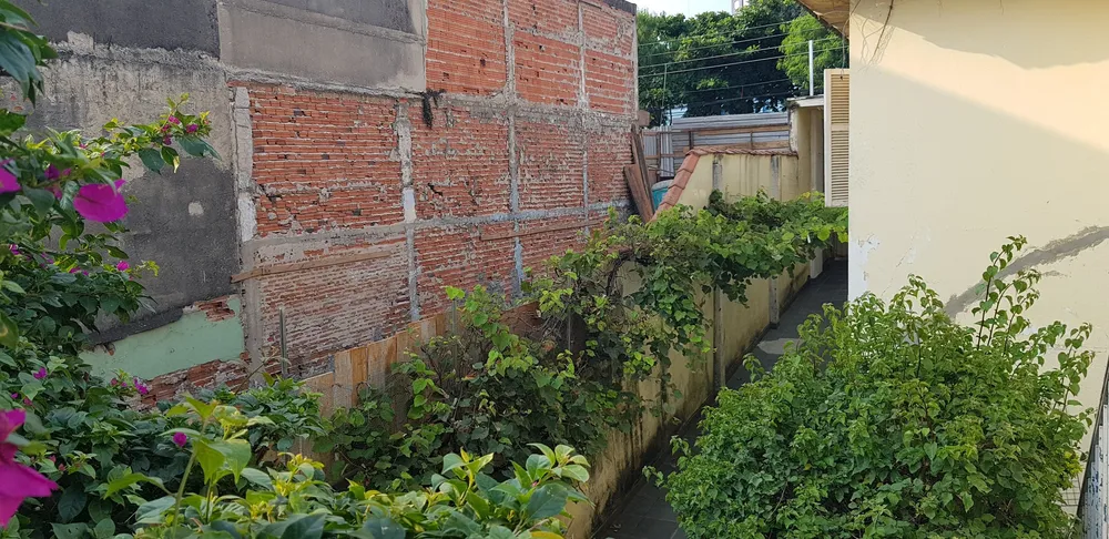 Casa, 2 quartos, 300 m² - Foto 10