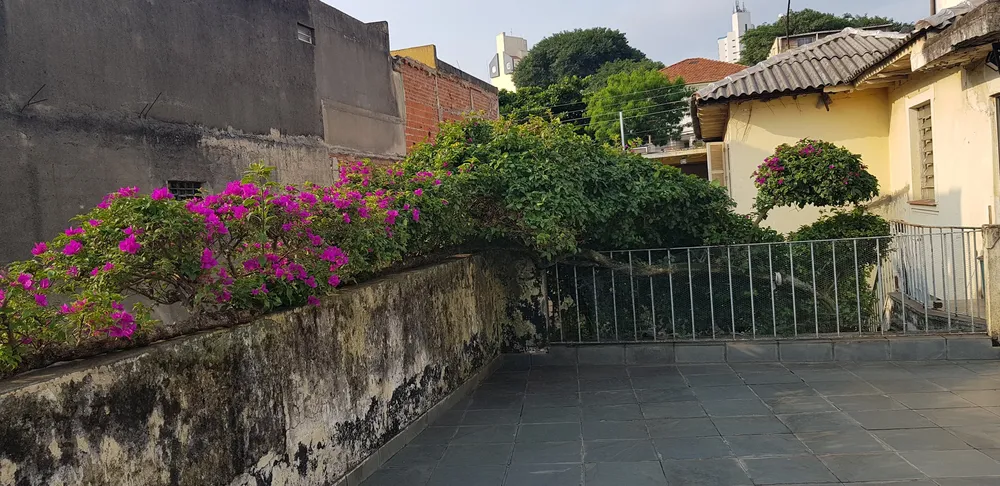 Casa, 2 quartos, 300 m² - Foto 9