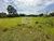 Terreno, 345 m² - Foto 2
