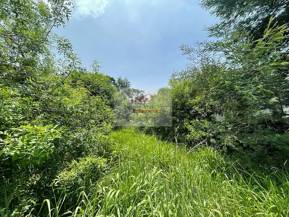 Terreno, 336 m² - Foto 4