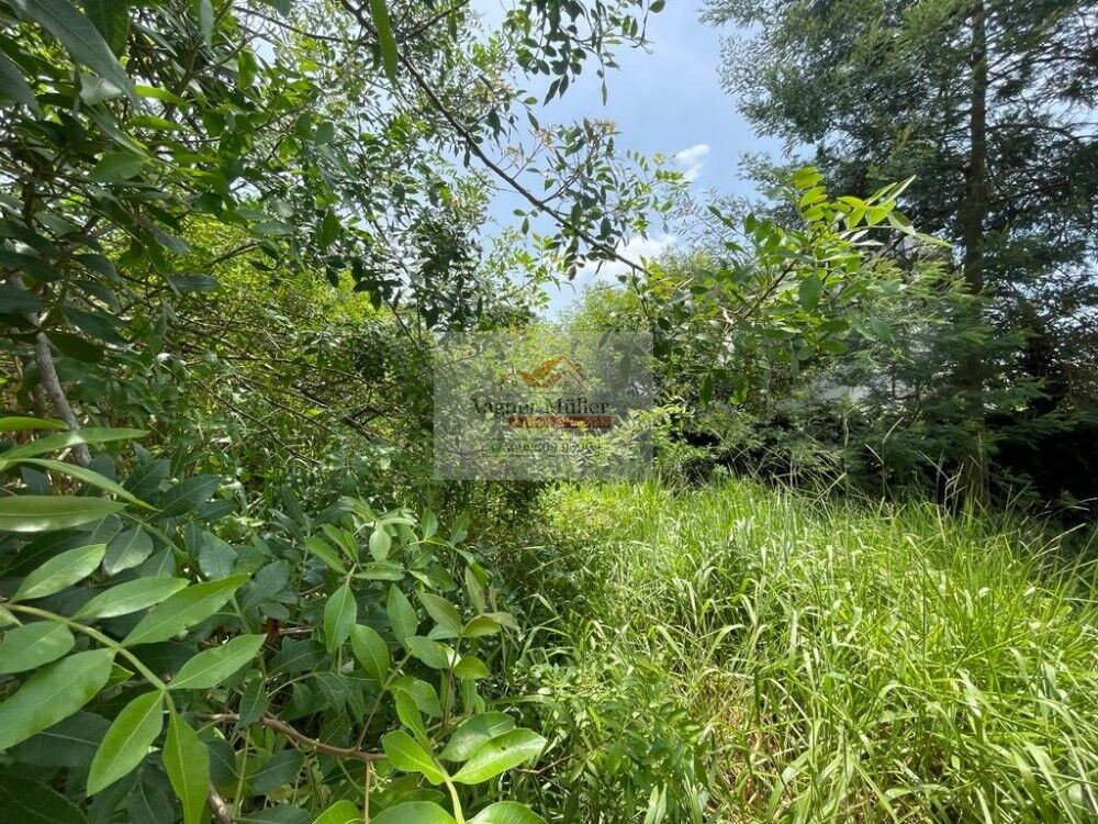 Terreno, 336 m² - Foto 2