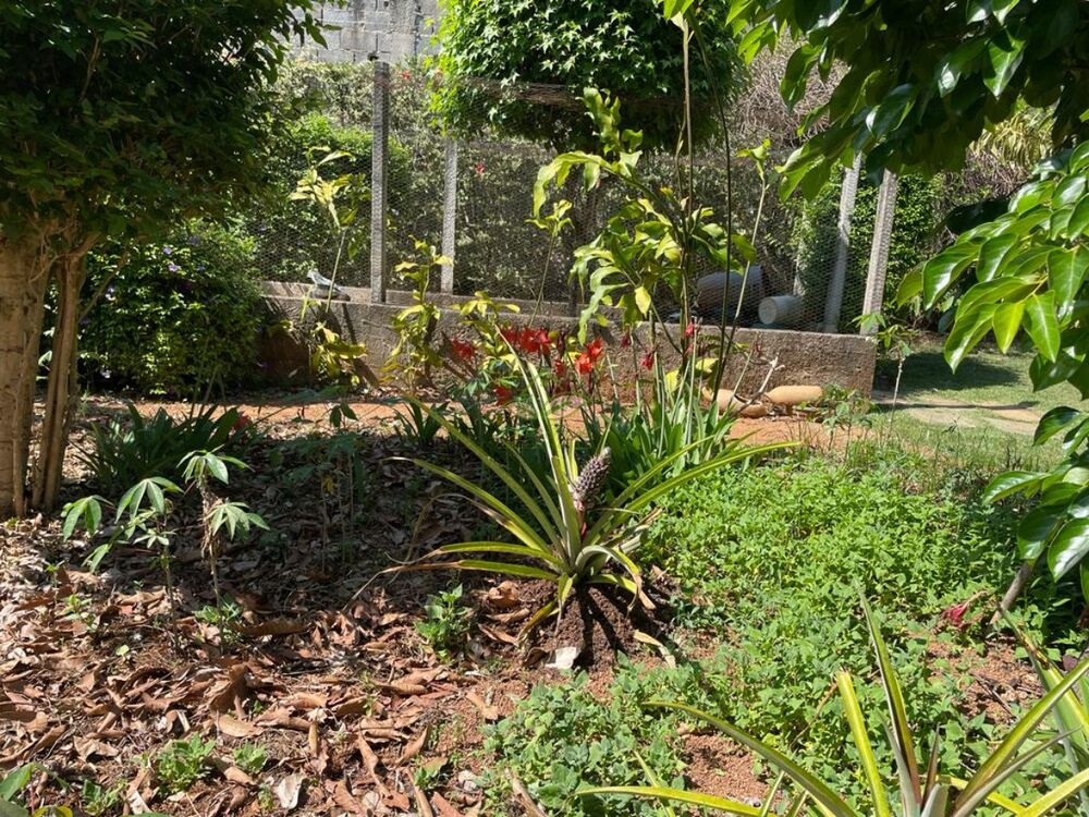 Chácara à venda com 2 quartos, 277m² - Foto 7