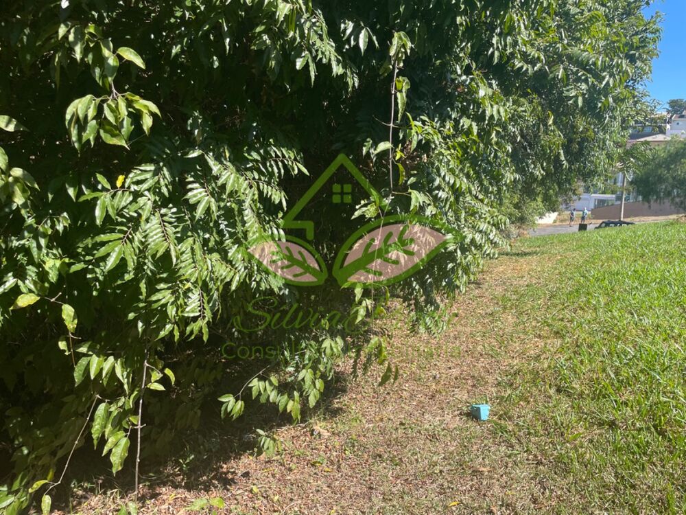 Terreno à venda, 1250m² - Foto 5
