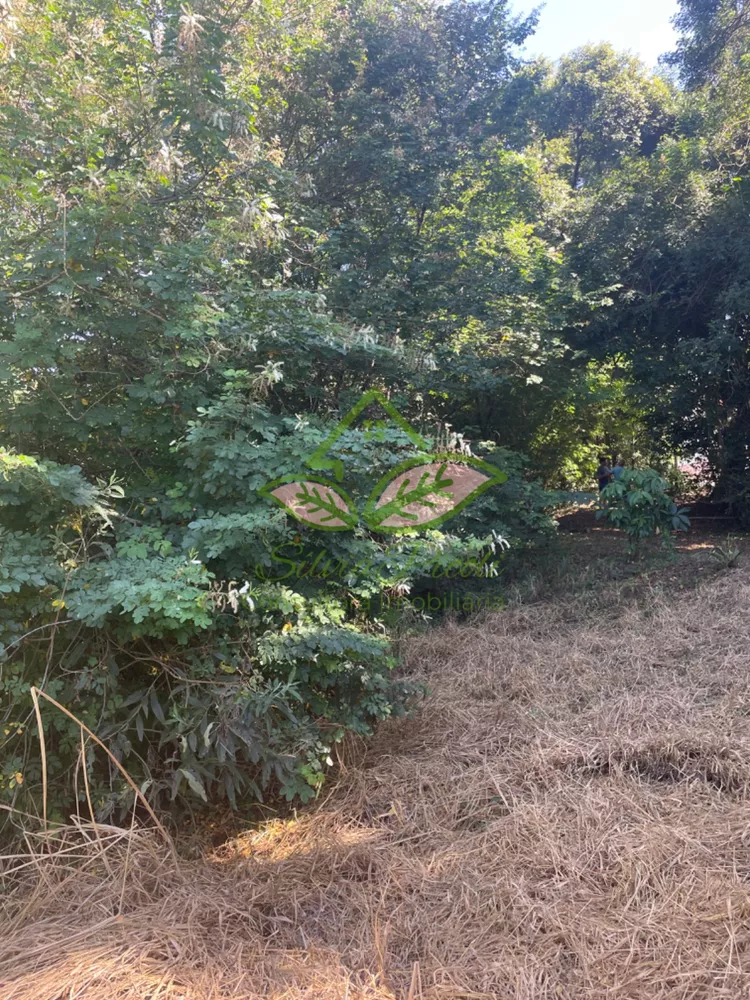 Terreno, 1250 m² - Foto 11