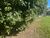 Terreno, 1250 m² - Foto 5