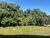 Terreno, 1250 m² - Foto 7