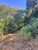 Terreno, 1250 m² - Foto 8