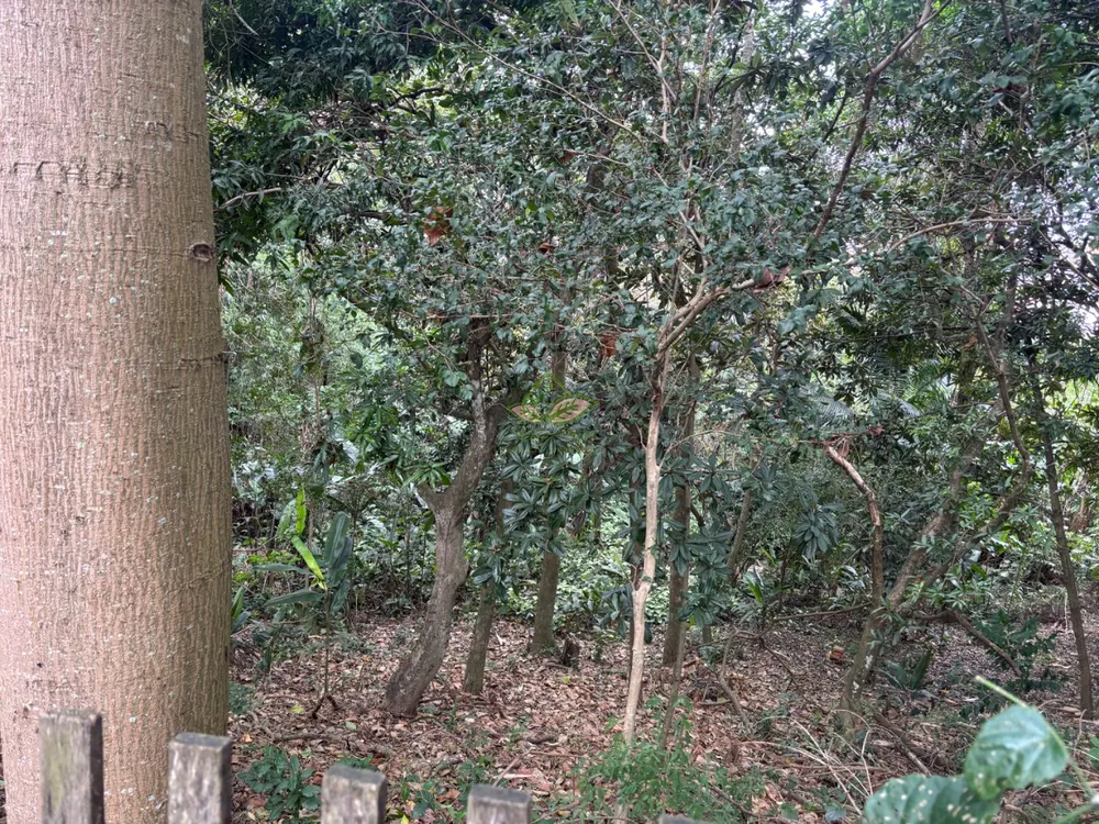 Loteamento e Condomínio, 1300 m² - Foto 11