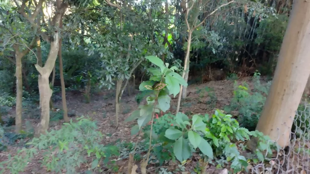 Loteamento e Condomínio, 1300 m² - Foto 2
