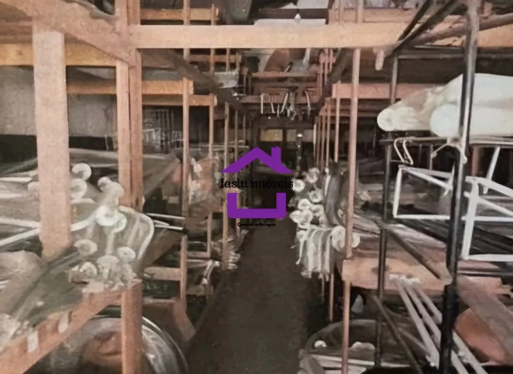 Depósito-Galpão, 300 m² - Foto 4