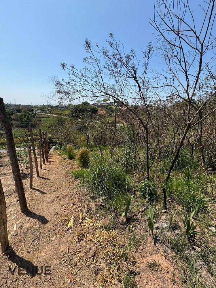 Terreno, 180 m² - Foto 6
