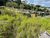 Terreno, 660 m² - Foto 1