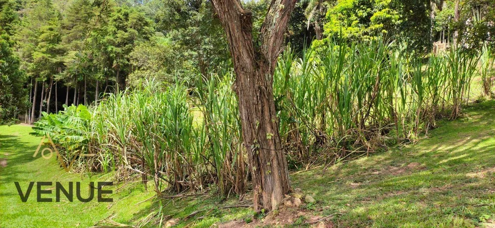 Fazenda, 3 hectares - Foto 10