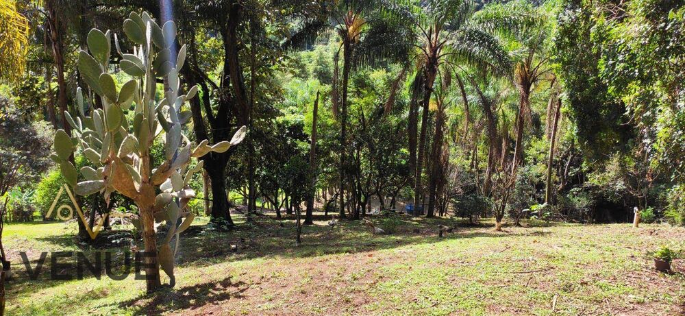 Fazenda, 3 hectares - Foto 8