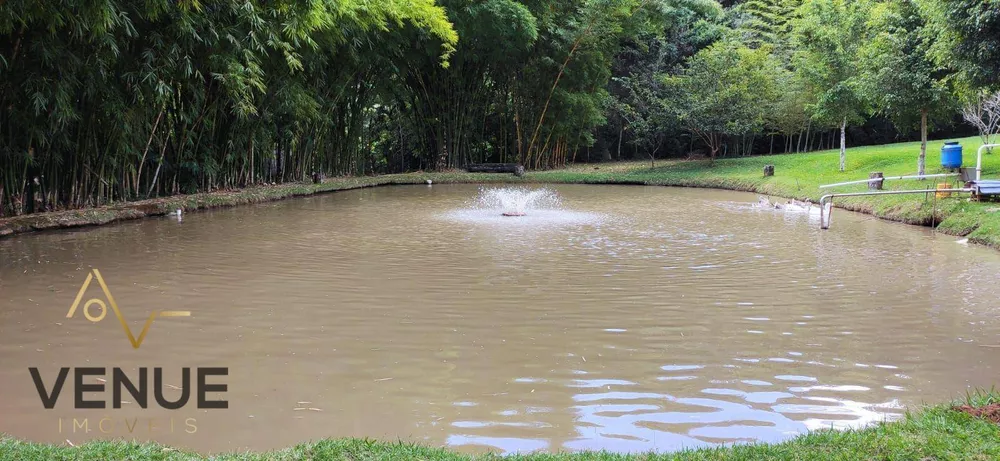 Fazenda, 3 hectares - Foto 6