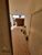 Sobrado, 3 quartos, 176 m² - Foto 1