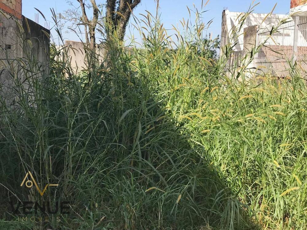 Terreno, 140 m² - Foto 6