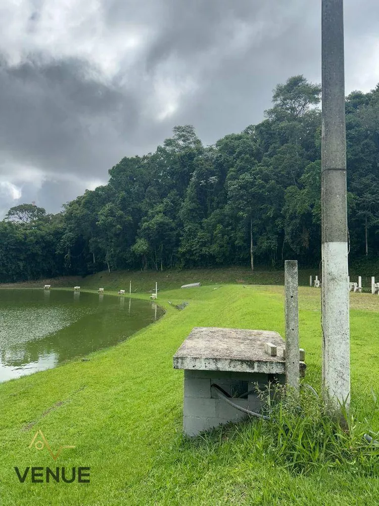 Sítio, 2 quartos, 7 hectares - Foto 6