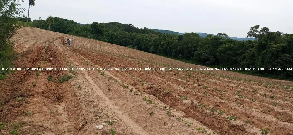 Loteamento e Condomínio, 30 hectares - Foto 2