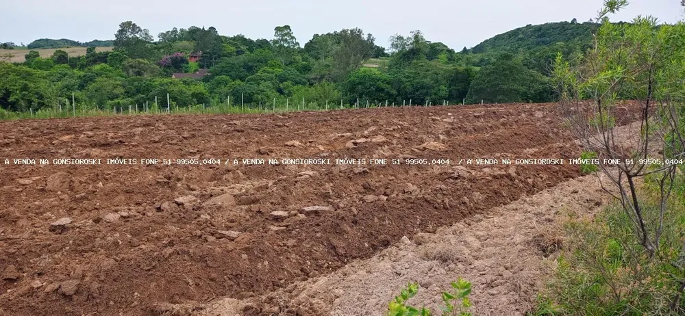 Loteamento e Condomínio, 30 hectares - Foto 1