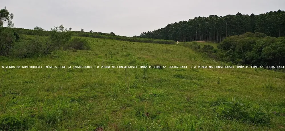Loteamento e Condomínio, 30 hectares - Foto 6