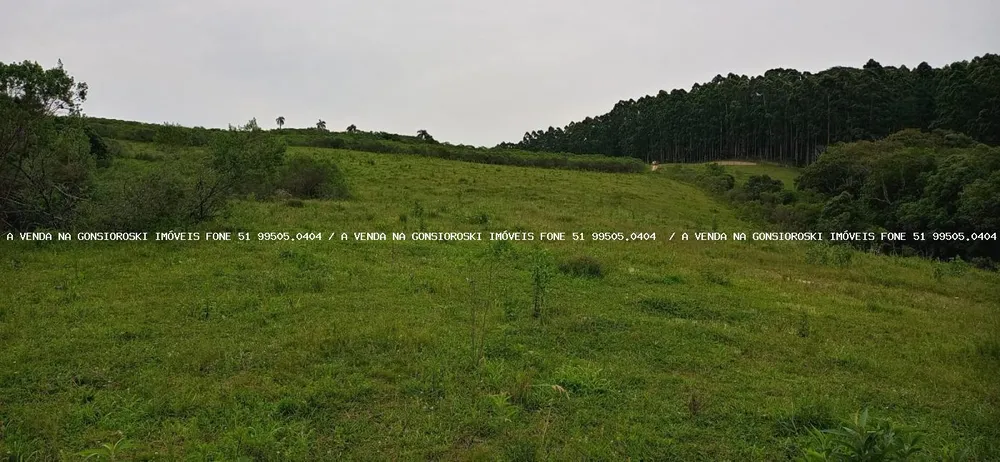 Loteamento e Condomínio, 30 hectares - Foto 2