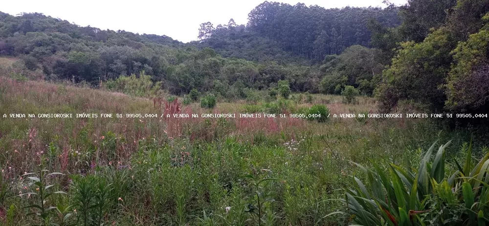 Loteamento e Condomínio à venda, 5000m² - Foto 3