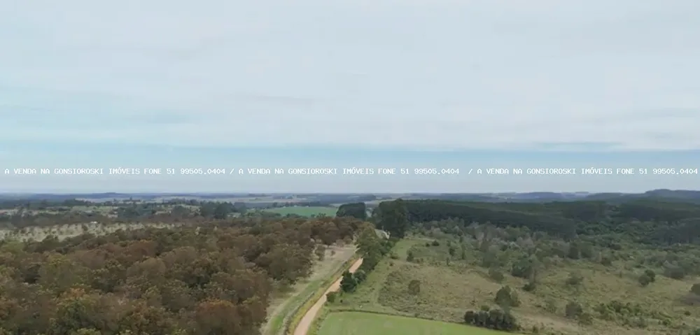 Fazenda, 63 hectares - Foto 6