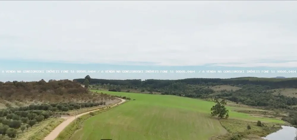 Fazenda, 63 hectares - Foto 3