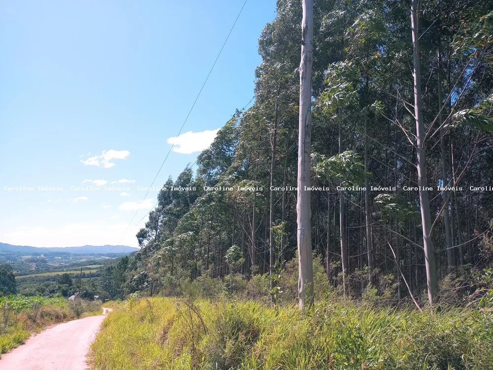 Loteamento e Condomínio à venda, 30000m² - Foto 1