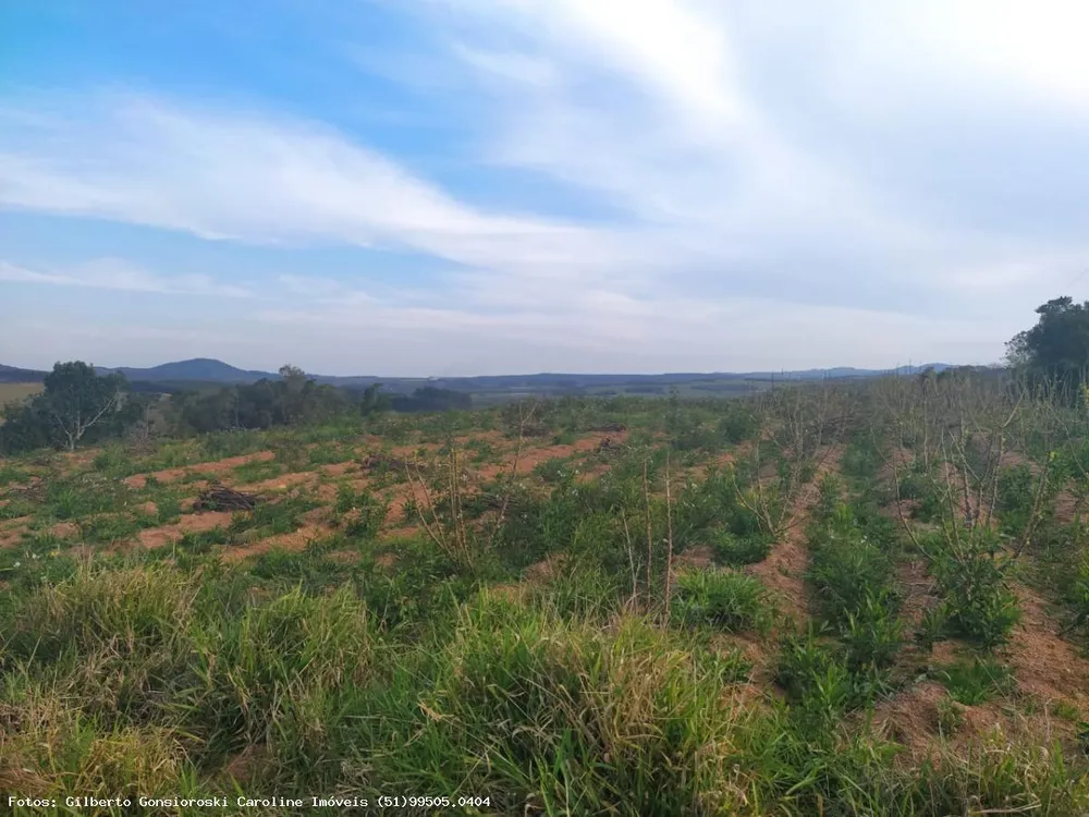 Loteamento e Condomínio, 3 hectares - Foto 2