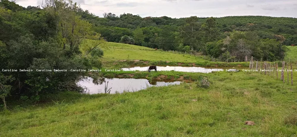 Fazenda à venda com 2 quartos, 220000m² - Foto 5