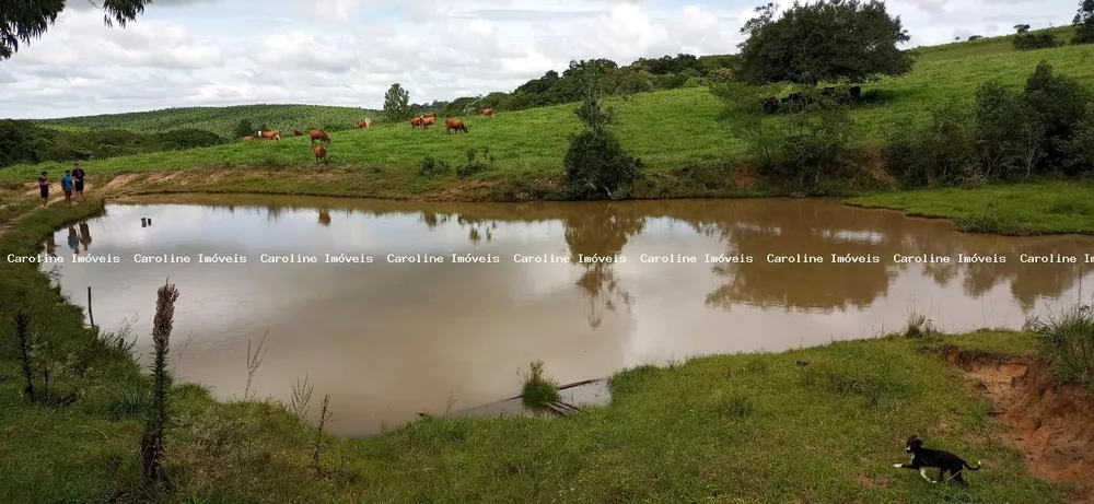 Fazenda à venda com 2 quartos, 220000m² - Foto 4