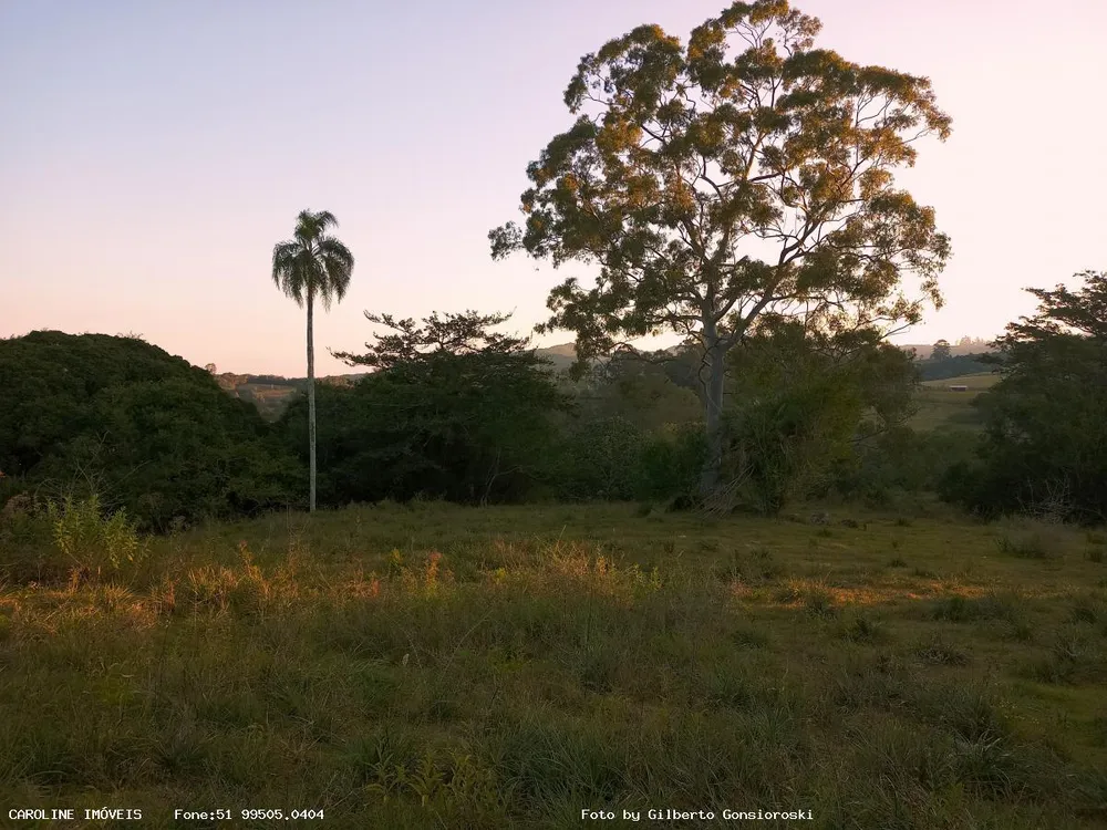 Fazenda, 58 m² - Foto 1