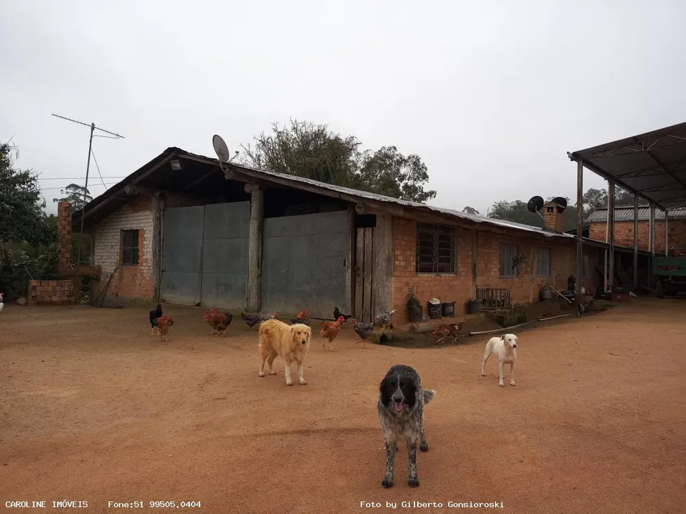 Fazenda, 58 m² - Foto 10