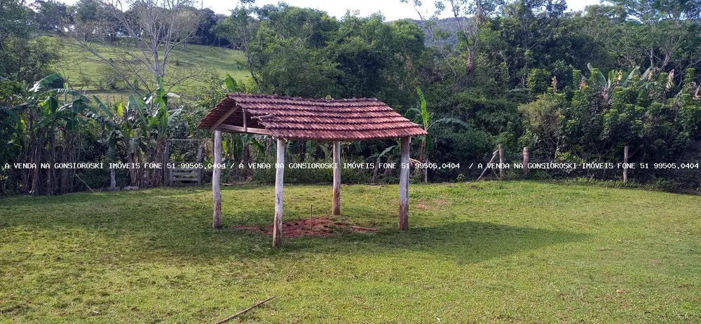 Sítio, 4 quartos, 2 hectares - Foto 4