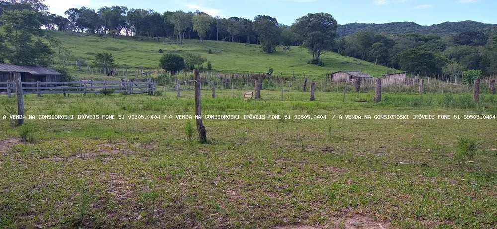 Sítio, 4 quartos, 2 hectares - Foto 3