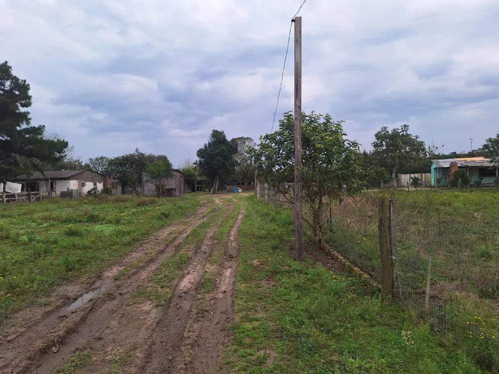 Fazenda à venda com 2 quartos, 6790m² - Foto 2