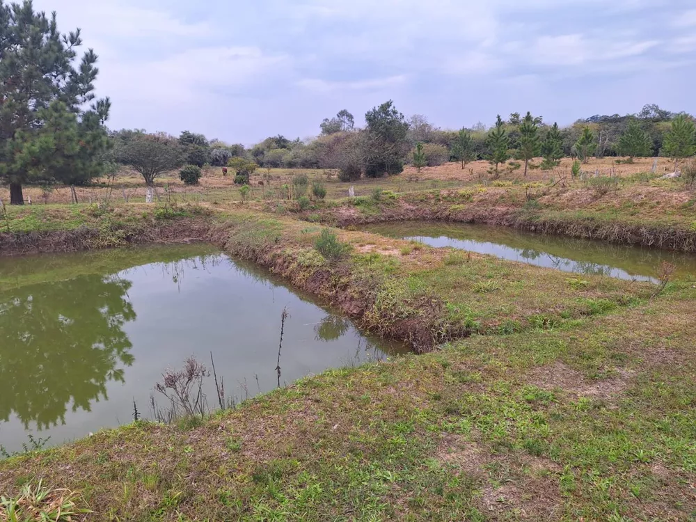 Fazenda à venda com 2 quartos, 6790m² - Foto 7