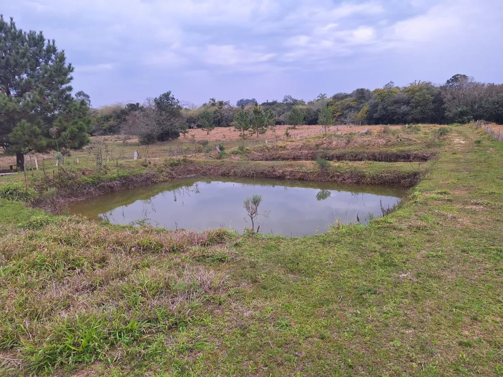 Fazenda à venda com 2 quartos, 6790m² - Foto 6