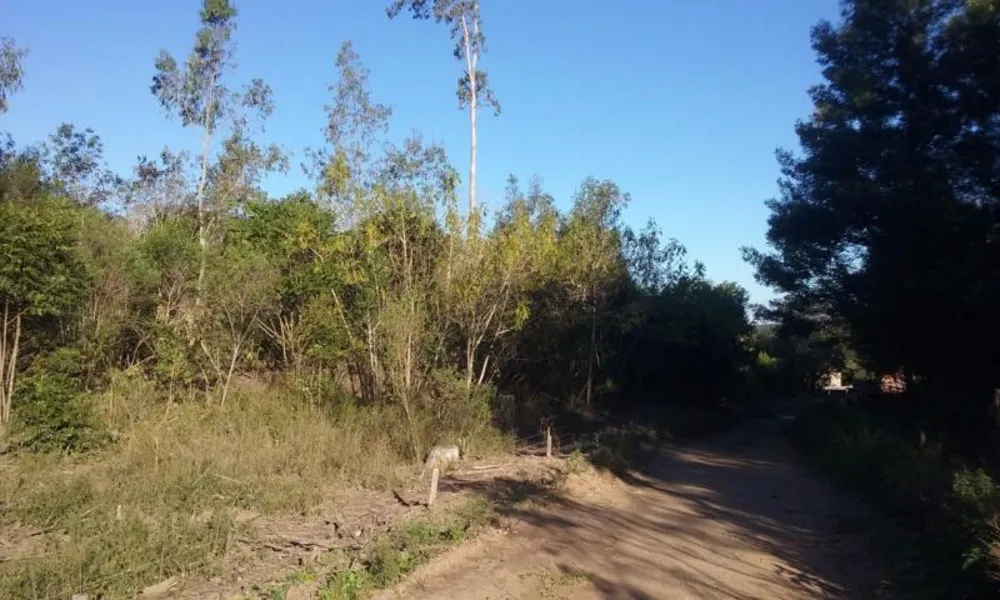 Loteamento e Condomínio, 11 hectares - Foto 2
