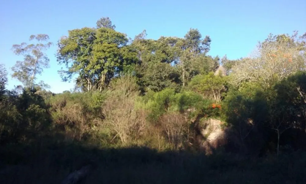 Loteamento e Condomínio, 11 hectares - Foto 6