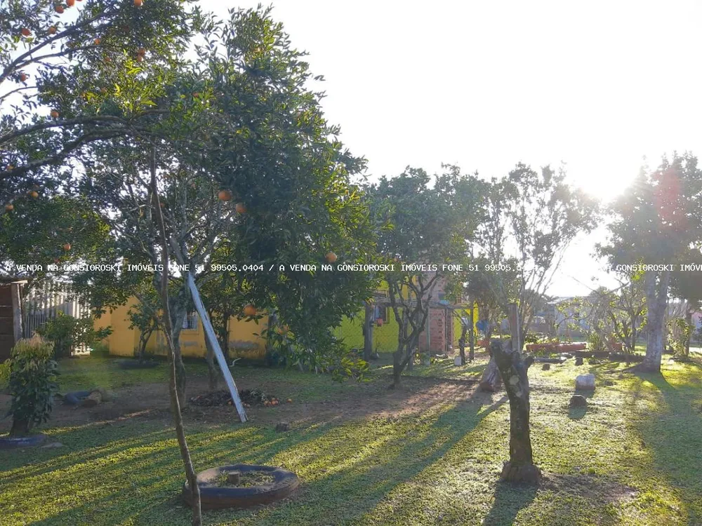 Fazenda, 1500 m² - Foto 4