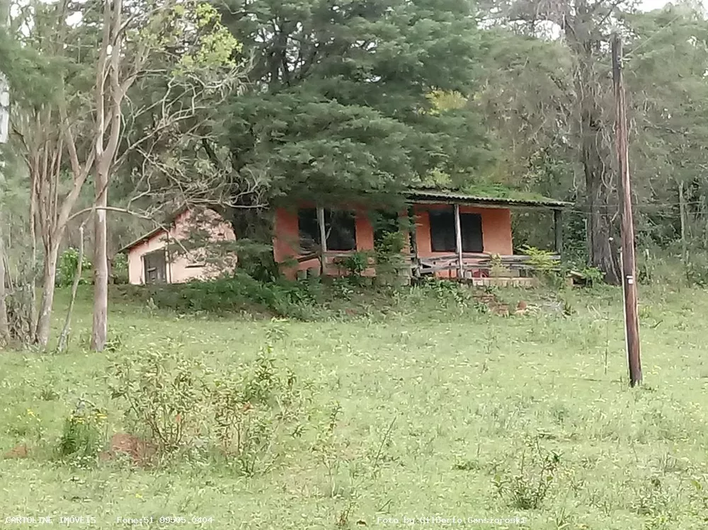 Fazenda à venda com 4 quartos, 160000m² - Foto 3